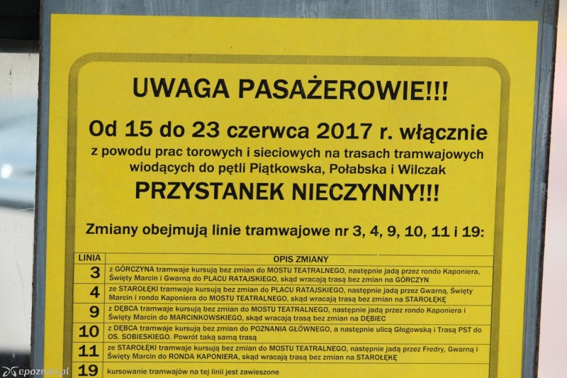 fot. Jędrzej Gerwel