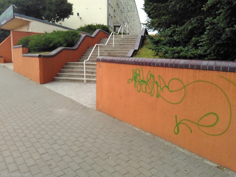 fot. Michał