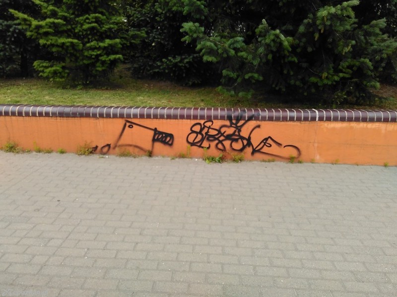 fot. Michał