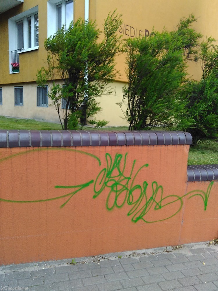 fot. Michał