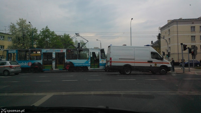 fot. Andrzej Trzmiel