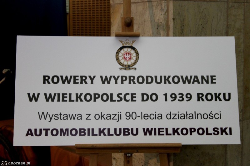 fot. Elżbieta Skowron