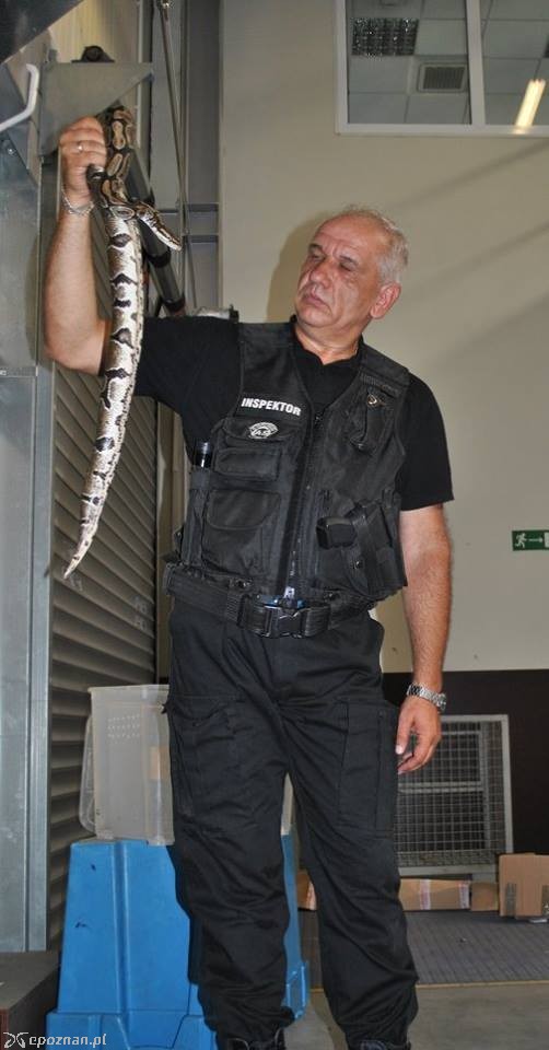 fot. Patrol interwencyjny As
