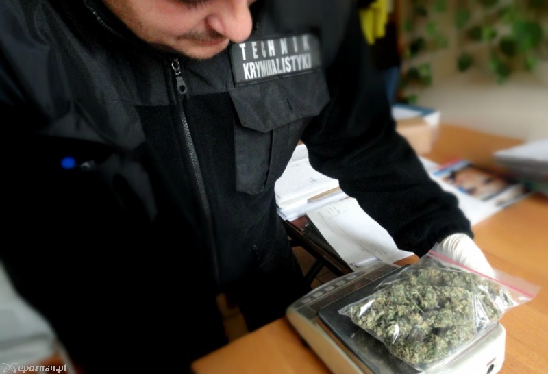 fot. Policja