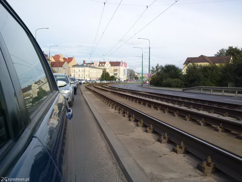 fot. Michał