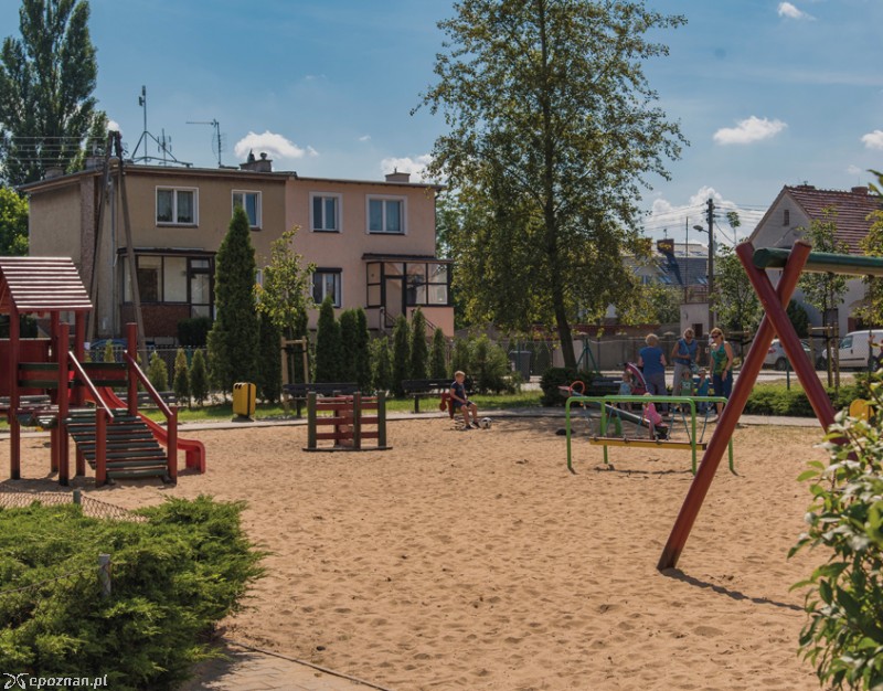 Krokusowa | fot. UMP