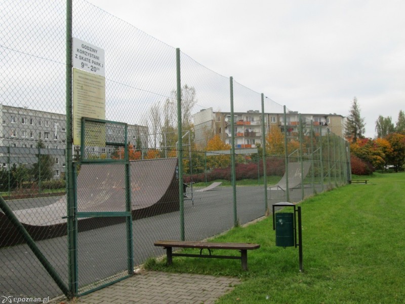 fot. Jacek Tomaszewski