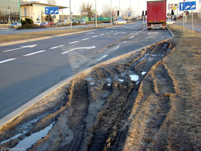 Marzec 2012 | fot. czytelnik