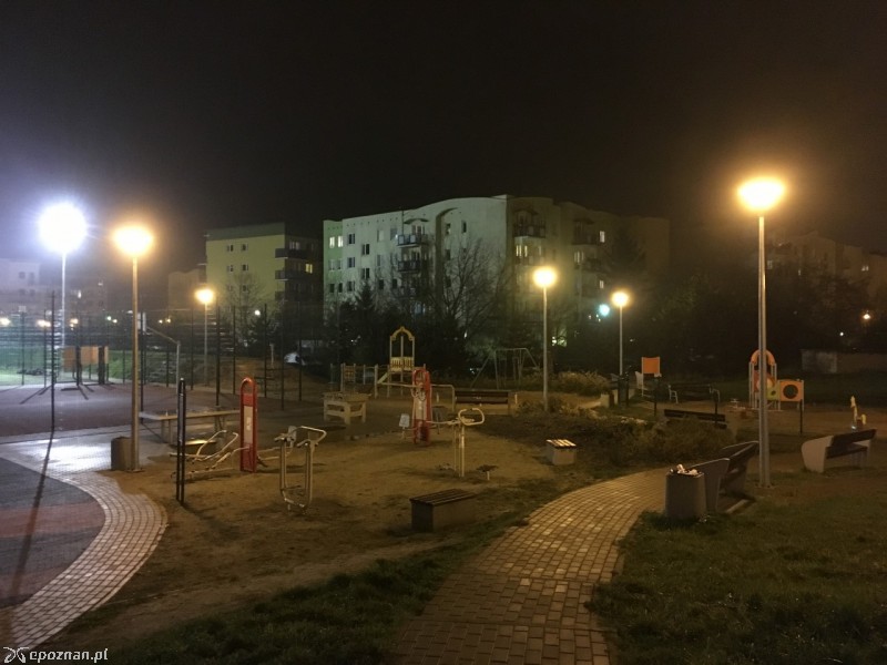 fot. Jacek Tomaszewski