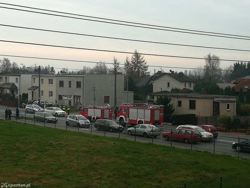 fot. czytelnik