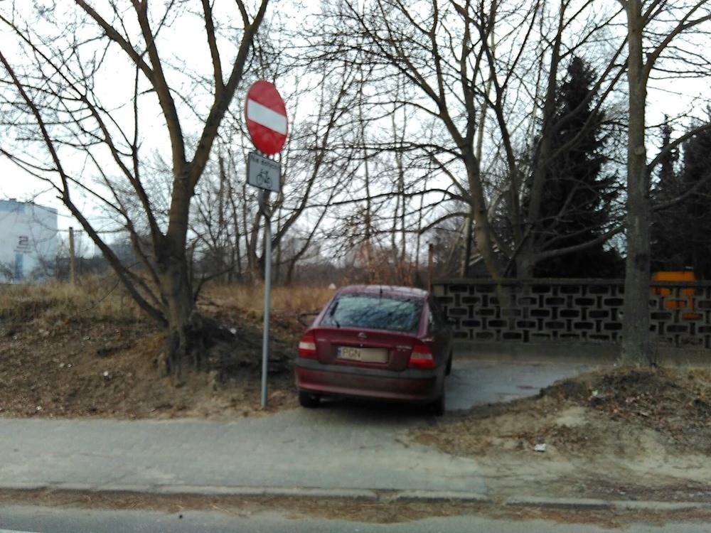 fot. Michał