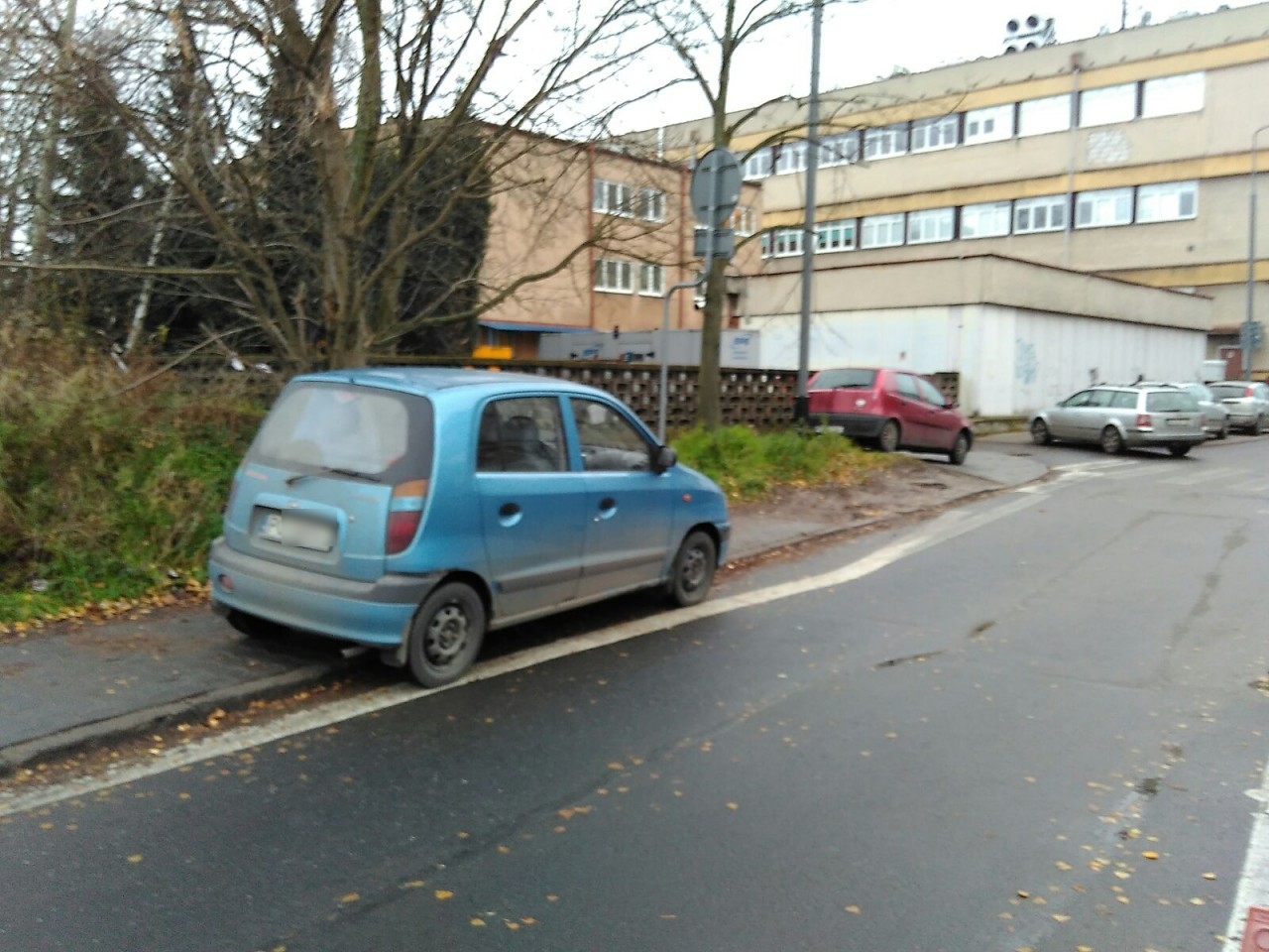fot. Michał