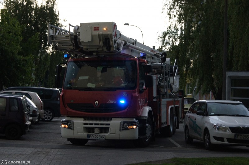 fot. Piotr \"Tiggy\" Pasała