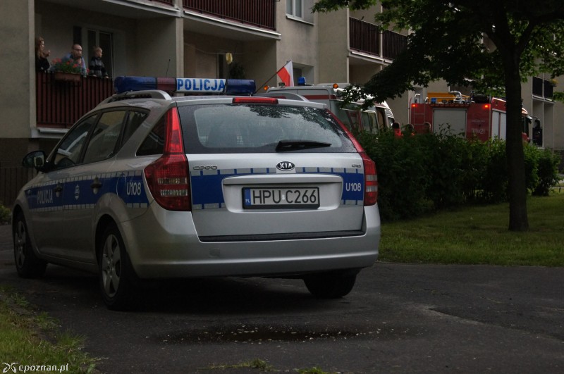fot. Piotr \"Tiggy\" Pasała