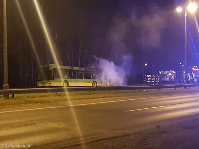 fot. Rafał B.