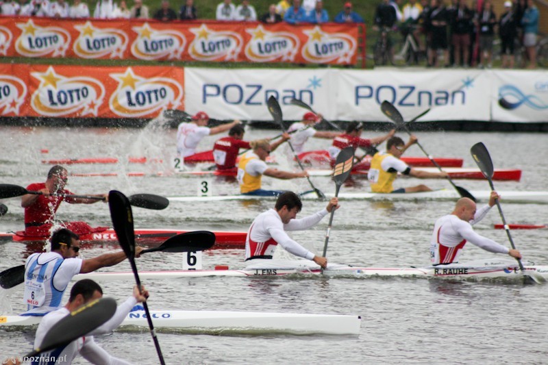 fot. Elżbieta Skowron