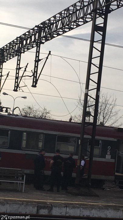 fot. Piła112/112pila.pl