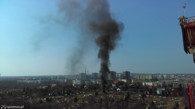 fot. Anna Cz.