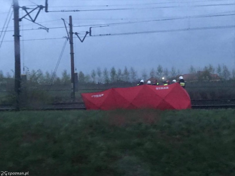 Zdjęcie dzięki uprzejmości jednej z pasażerek.