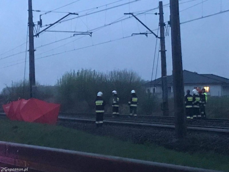 Zdjęcie dzięki uprzejmości jednej z pasażerek.