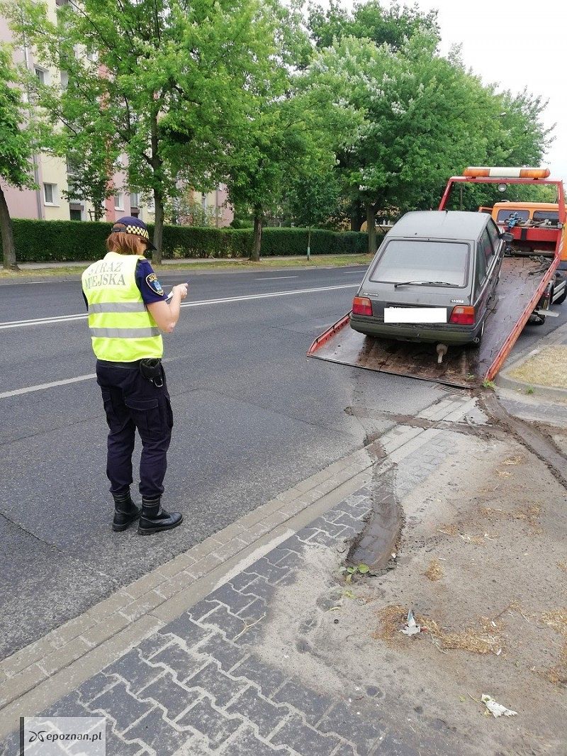 fot. Straż Miejska