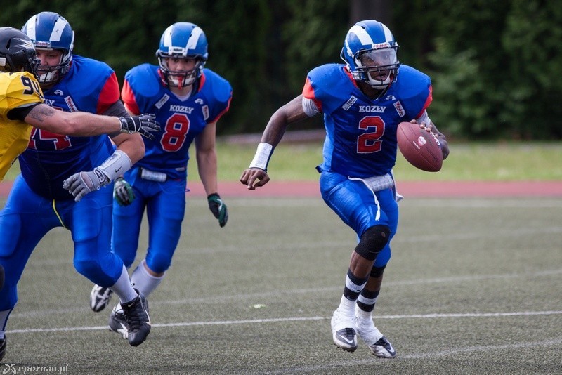 Kozły Poznań - Seahawks Gdynia 12:14  | fot. Tomasz Szwajkowski