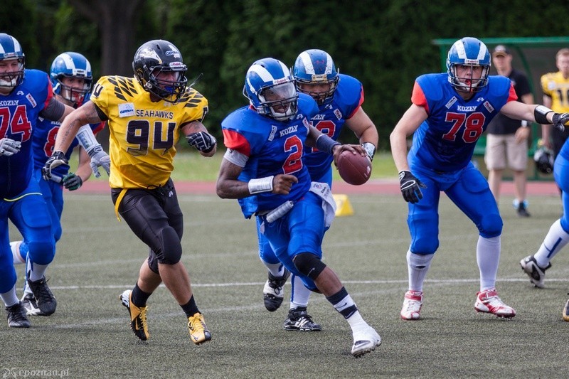 Kozły Poznań - Seahawks Gdynia 12:14  | fot. Tomasz Szwajkowski