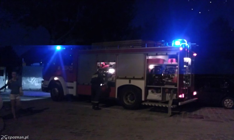 fot. Sołtys