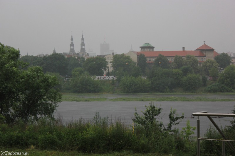 fot. Natalia Cofta