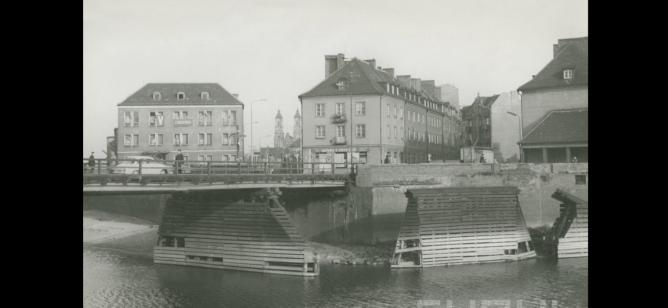 fot. W. Basiński/CYRYL Poznań