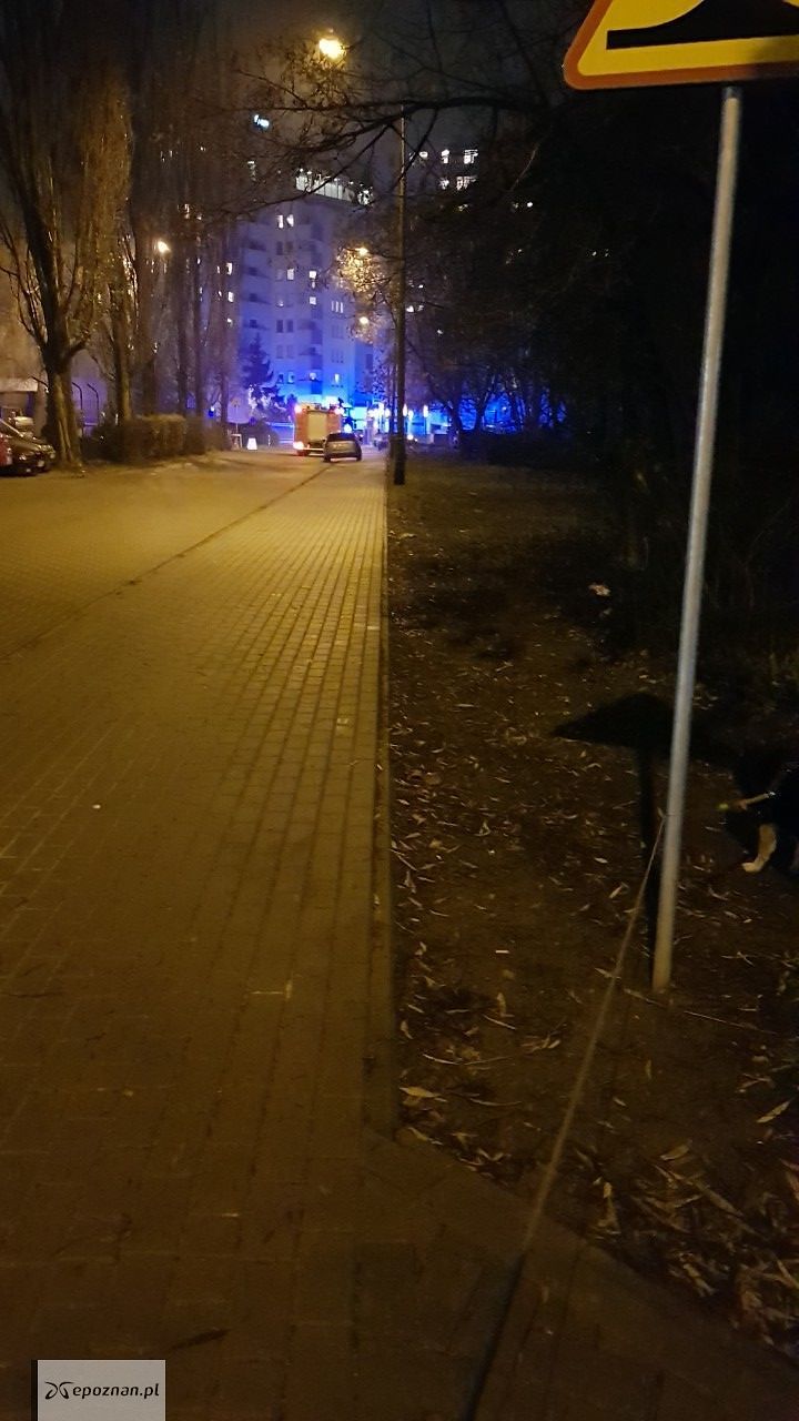 fot. Radek.ksi