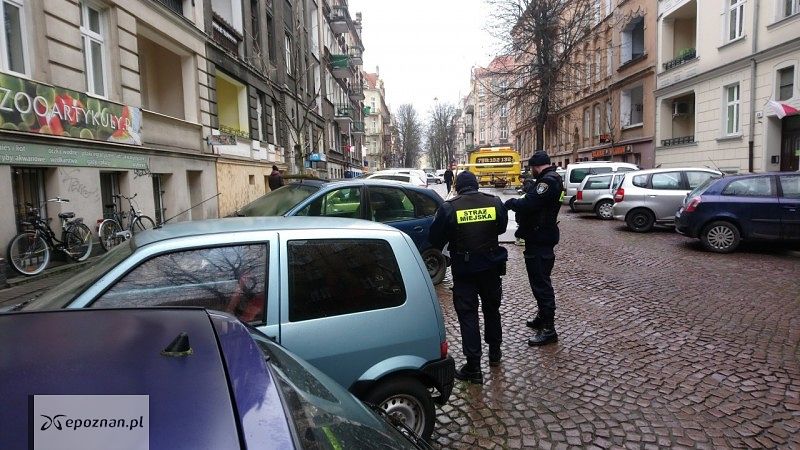 fot. Straż Miejska