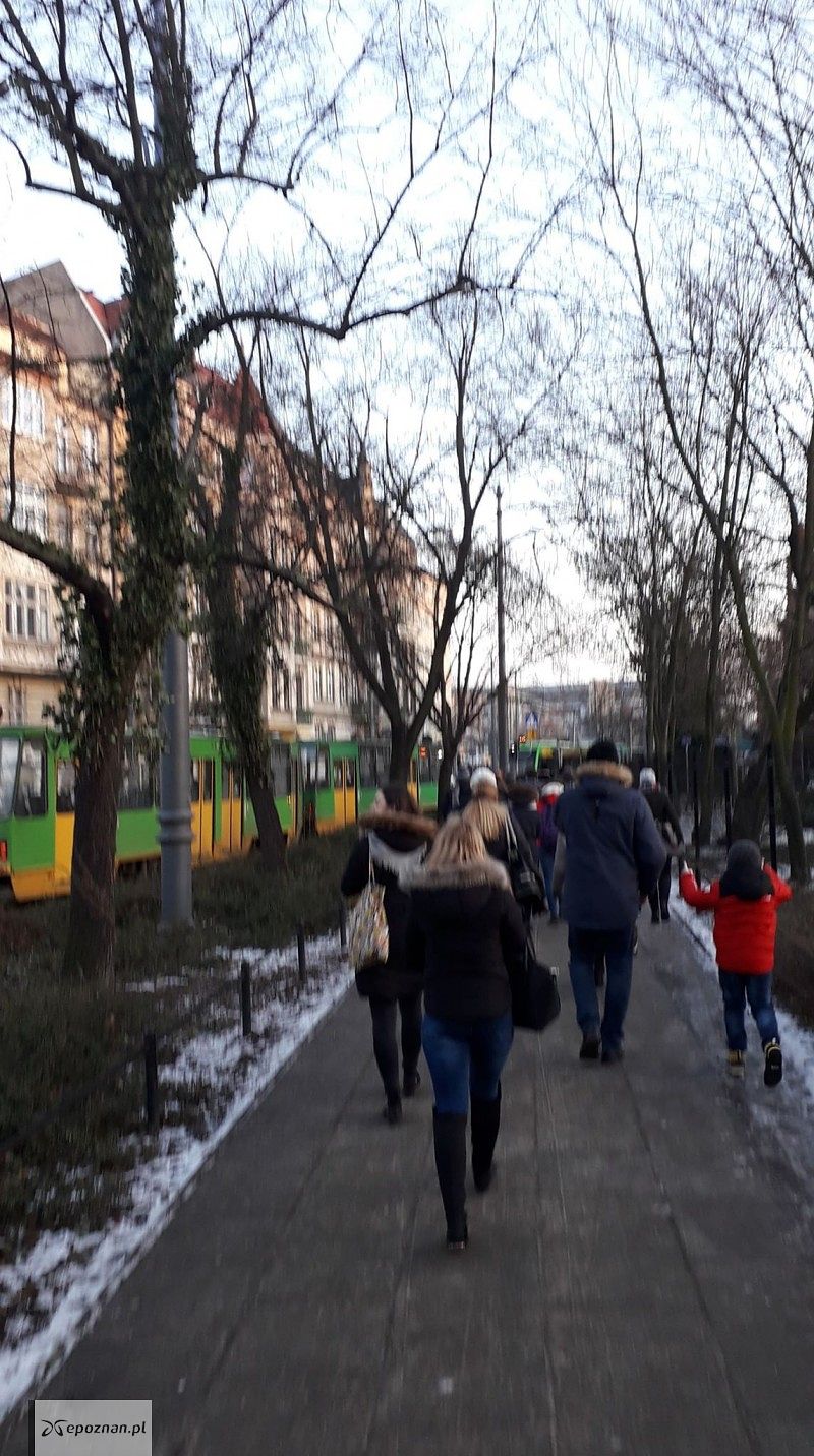 fot. Paweł J.