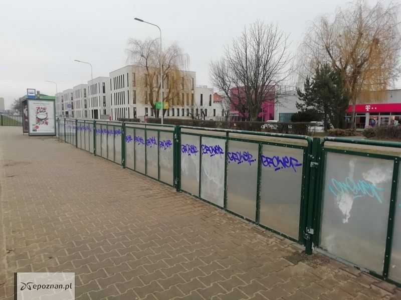 fot. Patryk