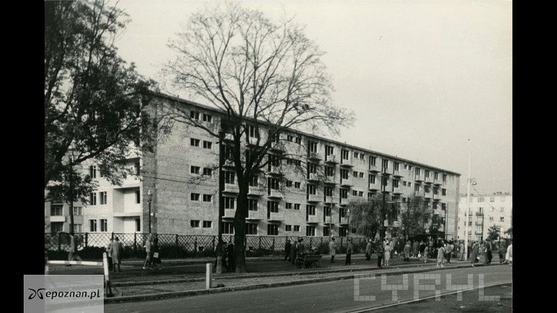 Budynek mieszkalny przy ul. Grunwaldzkiej (narożnik ul. Grochowskiej) na os. Grunwald | fot. S. Bartmański/CYRYL Poznań