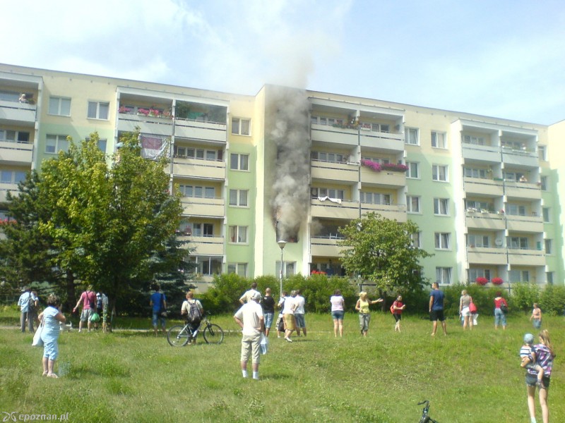 fot. Norbert