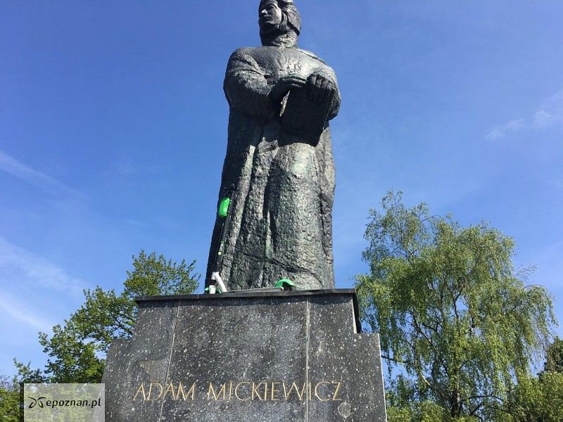 fot. Emil Górny