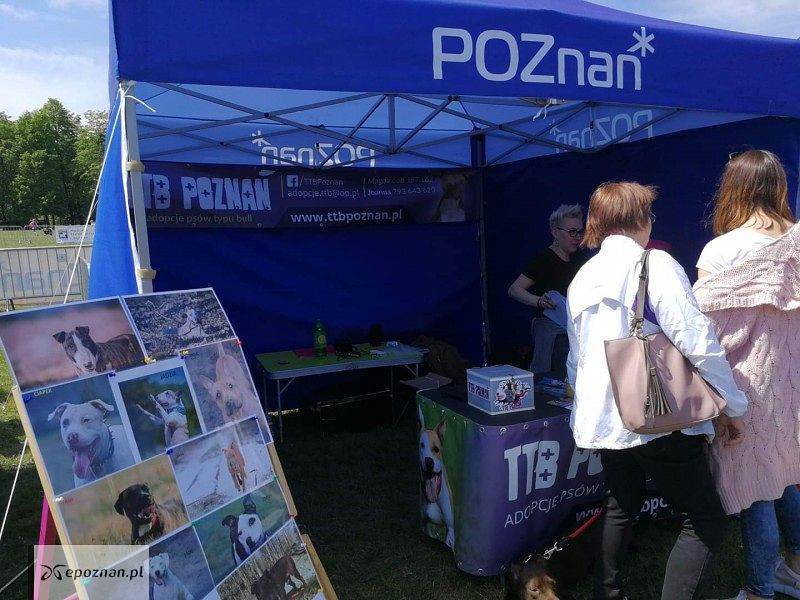 fot. Tomasz Szwajkowski