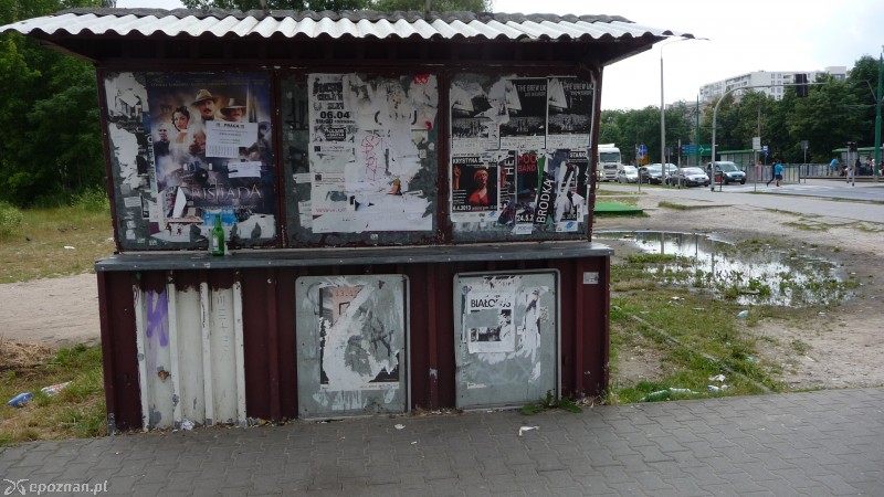 fot. Ryszard