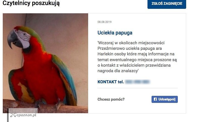 fot. Ogłoszenie z naszego portalu
