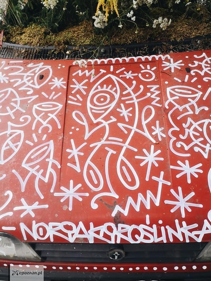fot. Noriaki