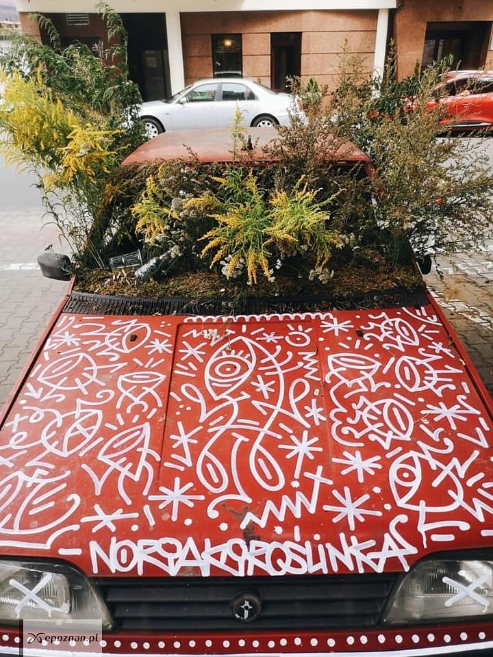 fot. Noriaki