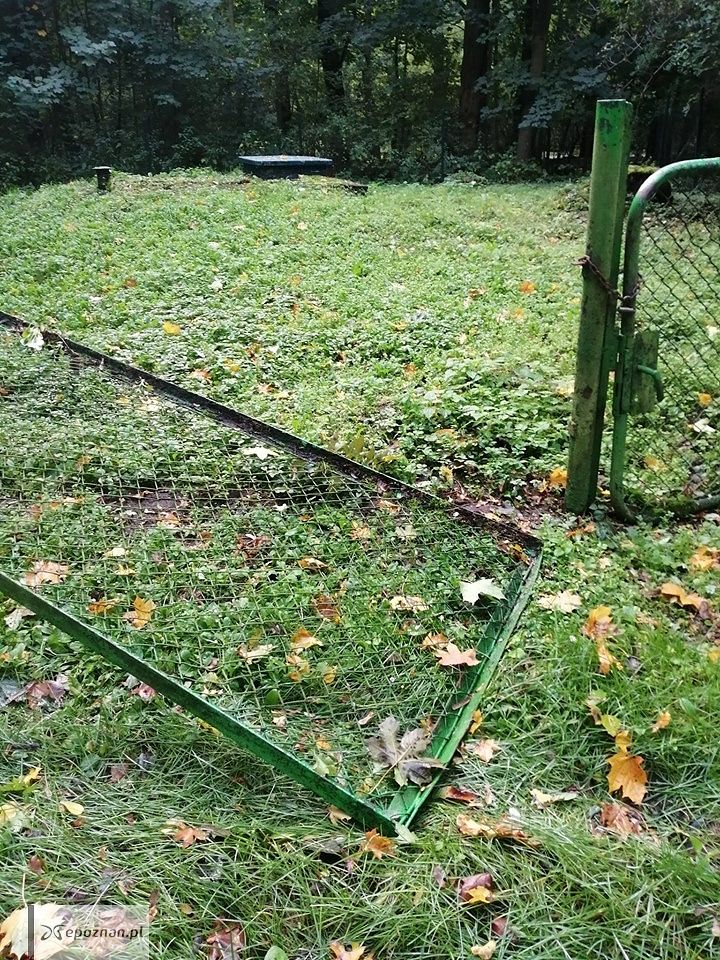 fot. ZOO Poznań FB