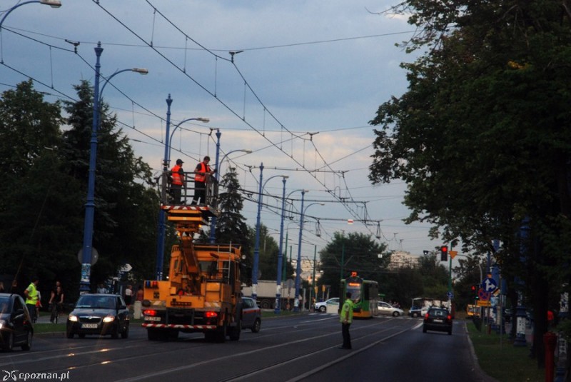 fot. Piotr Knach