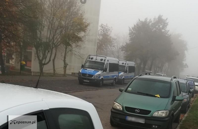 fot. Gosia