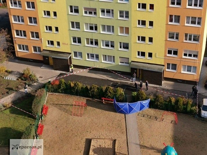 fot. lm.pl