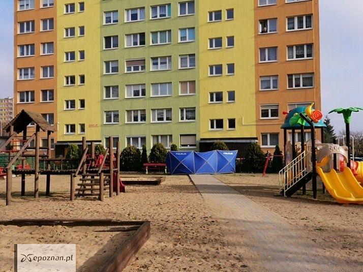 fot. lm.pl