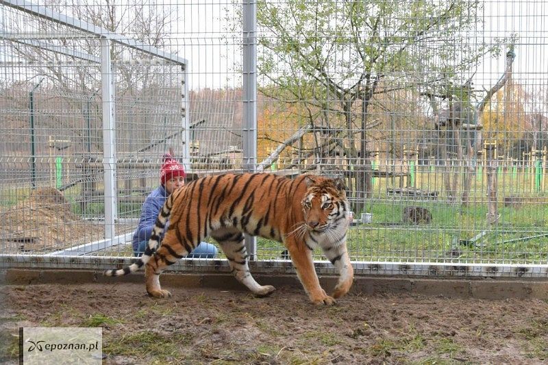 fot. ZOO Poznań Official FB