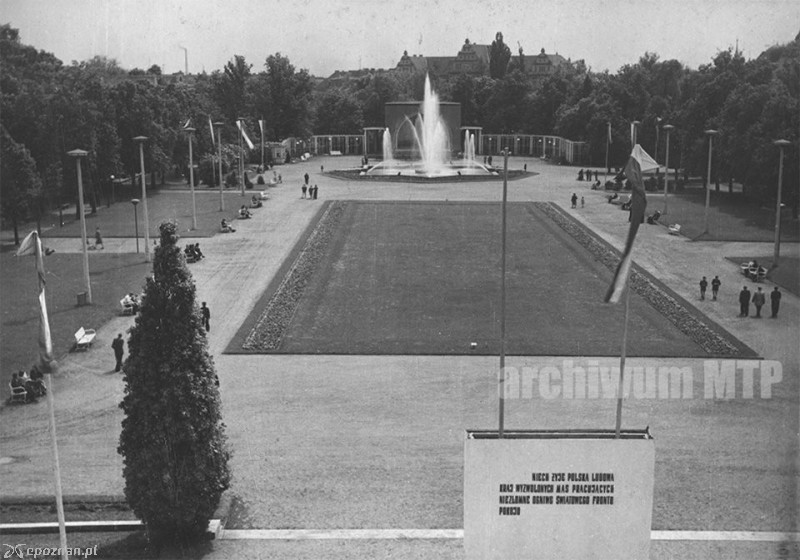 Park Wilsona | fot. Archiwum MTP