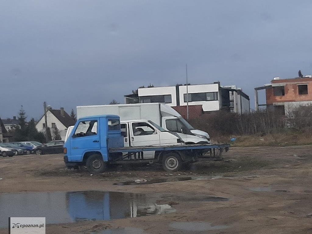 Teren po sprzątaniu | fot. Straż miejska